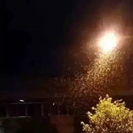 白蟻危害大，4-6月份進(jìn)入其活躍期 防治白蟻不容忽視！